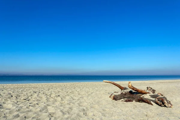 Beautiful Beach Baltic Sea — Stock Photo, Image
