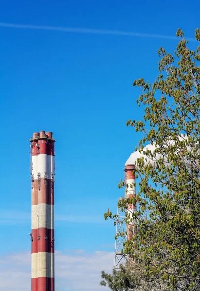 Smoking Chimneys Power Plant Blue Sky Poland — Stockfoto