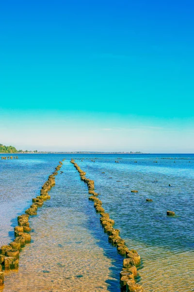 Polonya 'nın Gdynia şehrinde bir ahşap iskelenin kalıntıları.