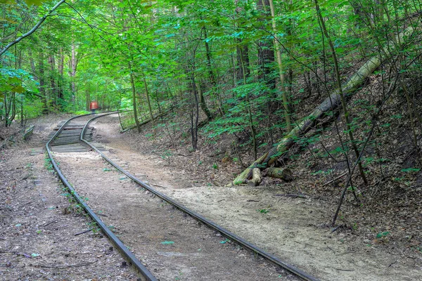 Caminhos Ferro Danificados Antiga Floresta Polónia — Fotografia de Stock