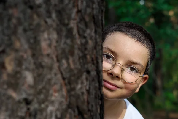 Portrait Teenage Boy Glasses Peeking Out Tree Poland — 스톡 사진