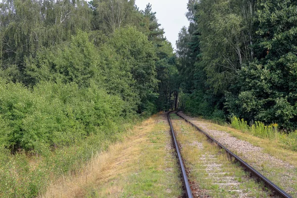 Railway tracks going deep into the forest in Poland