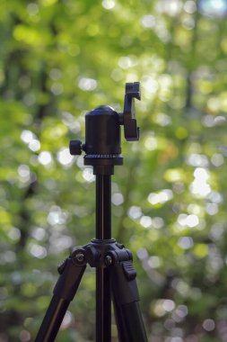 Polonya 'da bulanık bir ormanın arka planında fotoğraf tripodu.