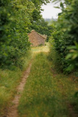 Yeşil yolun sonundaki küçük bungalov.
