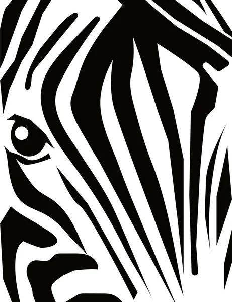 Zebra Head Close Poster Wild Zebra Background Stripes Poster Wall — Stock Vector