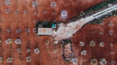 Badem ağaçlarının açtığı tarla için küçük bir kulübe.