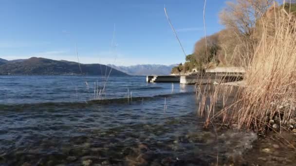 Orilla Del Lago Maggiore — Vídeo de stock