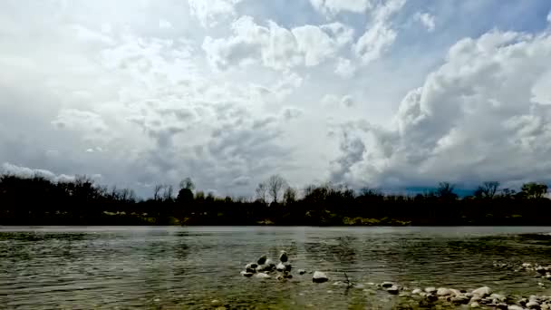 被湖水淹没的树干 — 图库视频影像