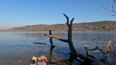 Göl kıyısında bir sandık.