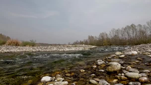 Ruisseau Avec Des Rochers Coule Aval — Video