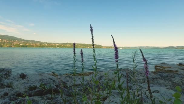 Puesta Sol Lago — Vídeo de stock