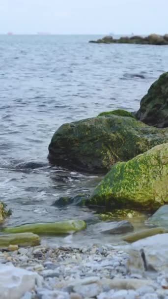 Pantai Laut Dengan Batu Ganggang Air Jernih Dan Gelombang Bergulir — Stok Video