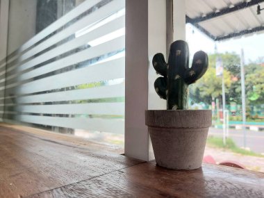 Tenceredeki yapay kaktüs bitkisi. Estetik ve minimalist fotoğrafçılık