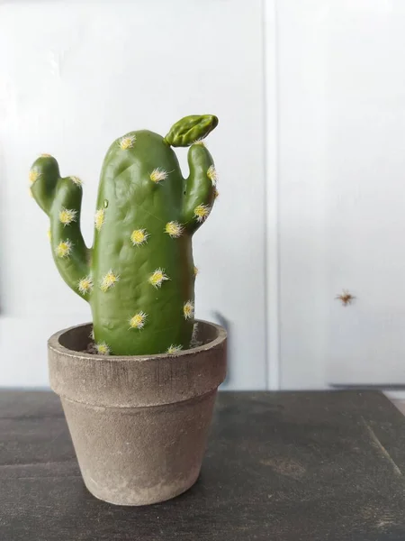 Künstliche Kakteenpflanze Topf Ästhetische Und Minimalistische Fotografie — Stockfoto