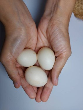 Bir çuval dolusu tavuk yumurtası ya da çuvala konmuş organik tavuk yumurtası.