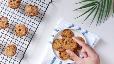 Soğutma rafında çikolata parçalı kurabiyeler. Tatlı ve lezzetli bir tat. Yumuşak ama çıtır çıtır. Üst Manzara. Düz yatıyordu. Minimalist ve estetik gıda fotoğrafçılığı.