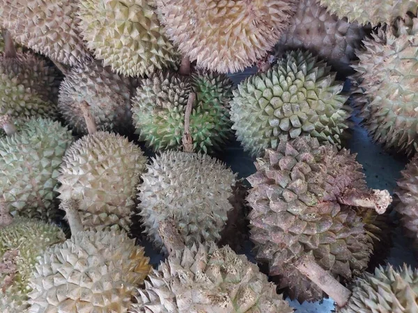Mucchio Durian Non Pelati Frutta Tropicale Fresca — Foto Stock
