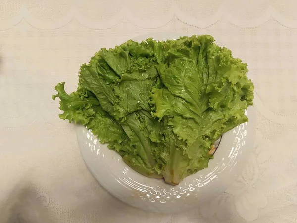 Batavia Lettuce Resembles Ordinary Lettuce Has More Crinkled Leaves Wavy — Stock Photo, Image