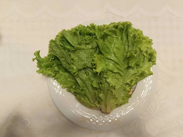 Lechuga Batavia Asemeja Lechuga Ordinaria Pero Tiene Más Hojas Arrugadas — Foto de Stock