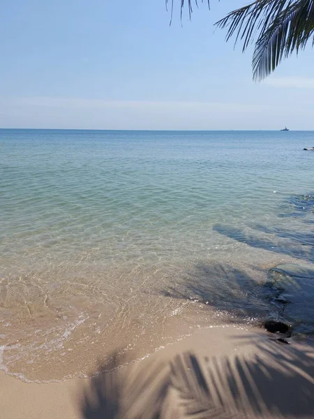 Kokosové Listy Stín Pláží Mořskou Pláží Pozadí Jasném Tónu Ticho — Stock fotografie
