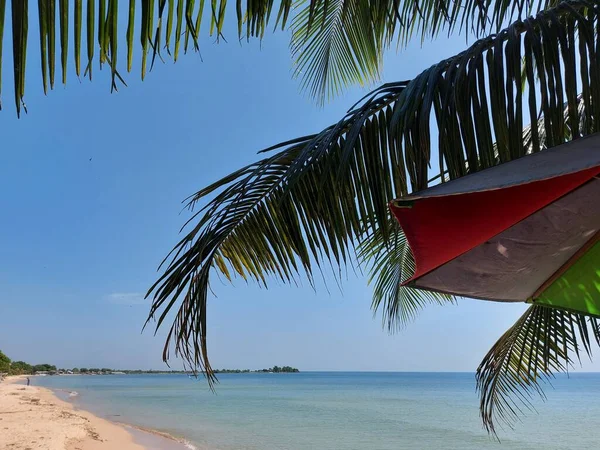 Hoja Cocotero Con Fondo Playa Paisaje Marino Tono Brillante Silencio — Foto de Stock