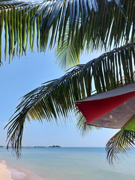 Hoja Cocotero Con Fondo Playa Paisaje Marino Tono Brillante Silencio — Foto de Stock