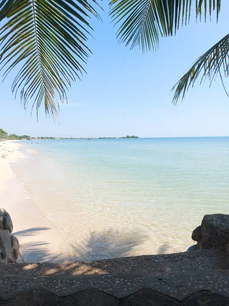 椰子树叶 有海滩和海景背景 色调明亮 安静点没有尸体 冷静点天堂 假日和夏天的气氛 孤立的背景 复制空间 美丽的风景 白色的沙子蓝天 — 图库照片