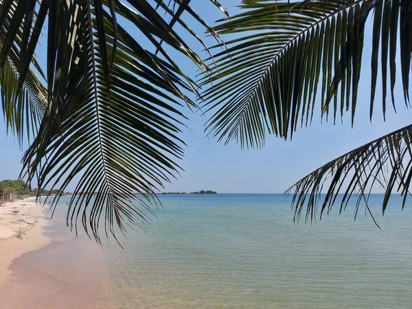 Hoja Cocotero Con Fondo Playa Paisaje Marino Tono Brillante Silencio — Foto de Stock