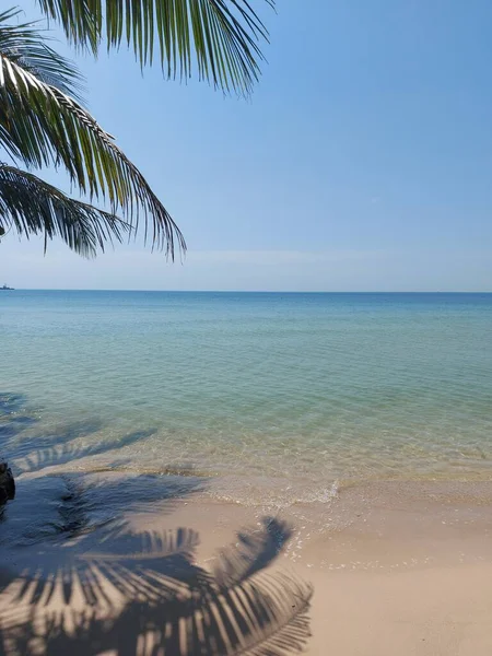 椰子树叶 有海滩和海景背景 色调明亮 安静点没有尸体 冷静点天堂 假日和夏天的气氛 孤立的背景 复制空间 美丽的风景 白色的沙子蓝天 — 图库照片