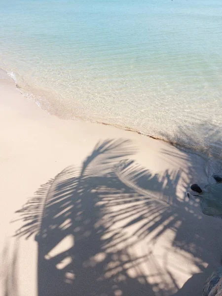 Kokosnussblattschatten Mit Strand Und Meereslandschaft Hellen Farbton Ruhig Kein Körper — Stockfoto