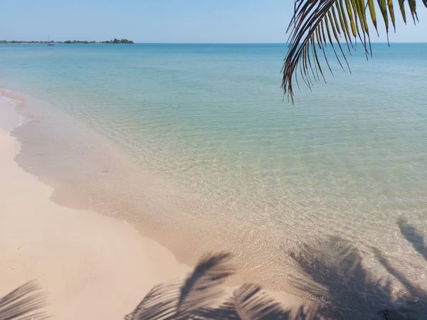 Kokosnussblatt Mit Strand Und Meereslandschaft Hellen Farbton Ruhig Kein Körper — Stockfoto