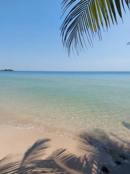 Hoja Cocotero Con Fondo Playa Paisaje Marino Tono Brillante Silencio — Foto de Stock