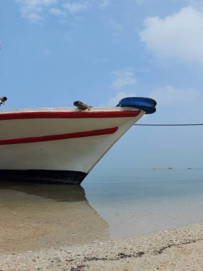 Beyaz ahşap tekne sahile yanaştı. minimalist fotoğrafçılık konsepti