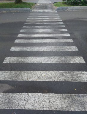 Yol zebra hattı. Öncü satır fotoğrafçılığı konsepti
