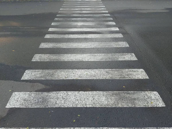 Road zebra line. Leading line photography concept