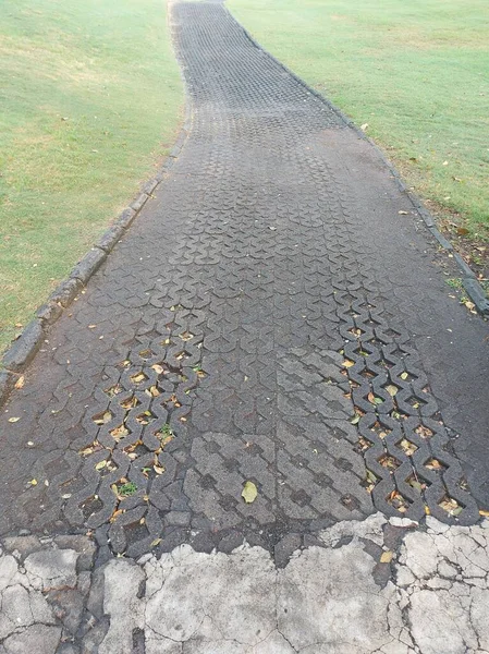 Leading Line Photography Concept Path Paving Blocks Green Grass Garden — Zdjęcie stockowe