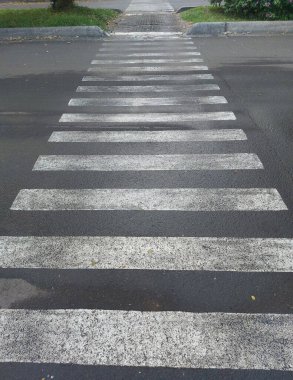 Yol zebra hattı. Öncü satır fotoğrafçılığı konsepti