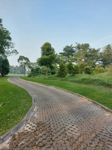 Leading Line Photography Concept Path Paving Blocks Green Grass Garden — 스톡 사진