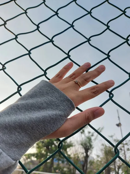 woman's hand blocked by wire mesh fence