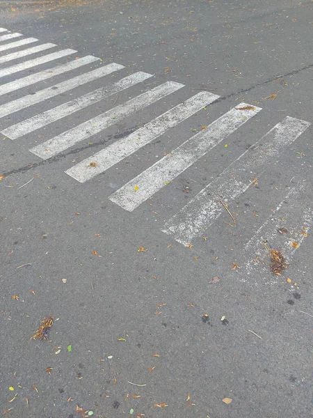 Zebra Cross Asphalt Road Pedestrians — Stockfoto