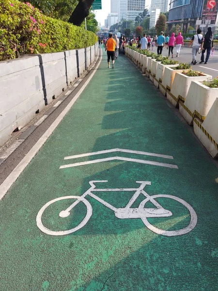 special lane for cyclists.  comes with green paint and bicycle logo