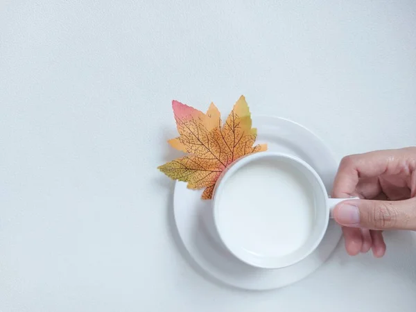 Leite Copo Porcelana Branca Completado Com Folha Bordo Conceito Fotografia — Fotografia de Stock