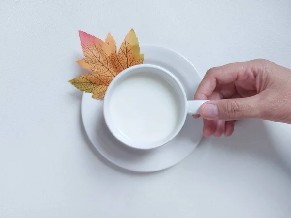 Milch Auf Weißer Porzellantasse Vorhanden Abgerundet Mit Ahornblatt Minimalistisches Und — Stockfoto