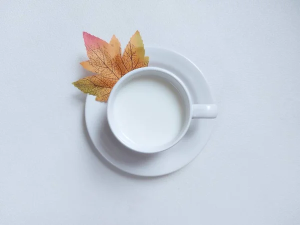 Milch Auf Weißer Porzellantasse Vorhanden Abgerundet Mit Ahornblatt Minimalistisches Und — Stockfoto
