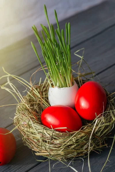 Sfondo Pasquale Con Uova Pasqua Rosso Scuro Nel Nido Rosario — Foto Stock