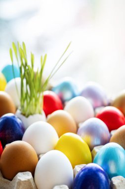 Dekor yuvasında çok renkli paskalya yumurtaları. Mutlu Paskalyalar.