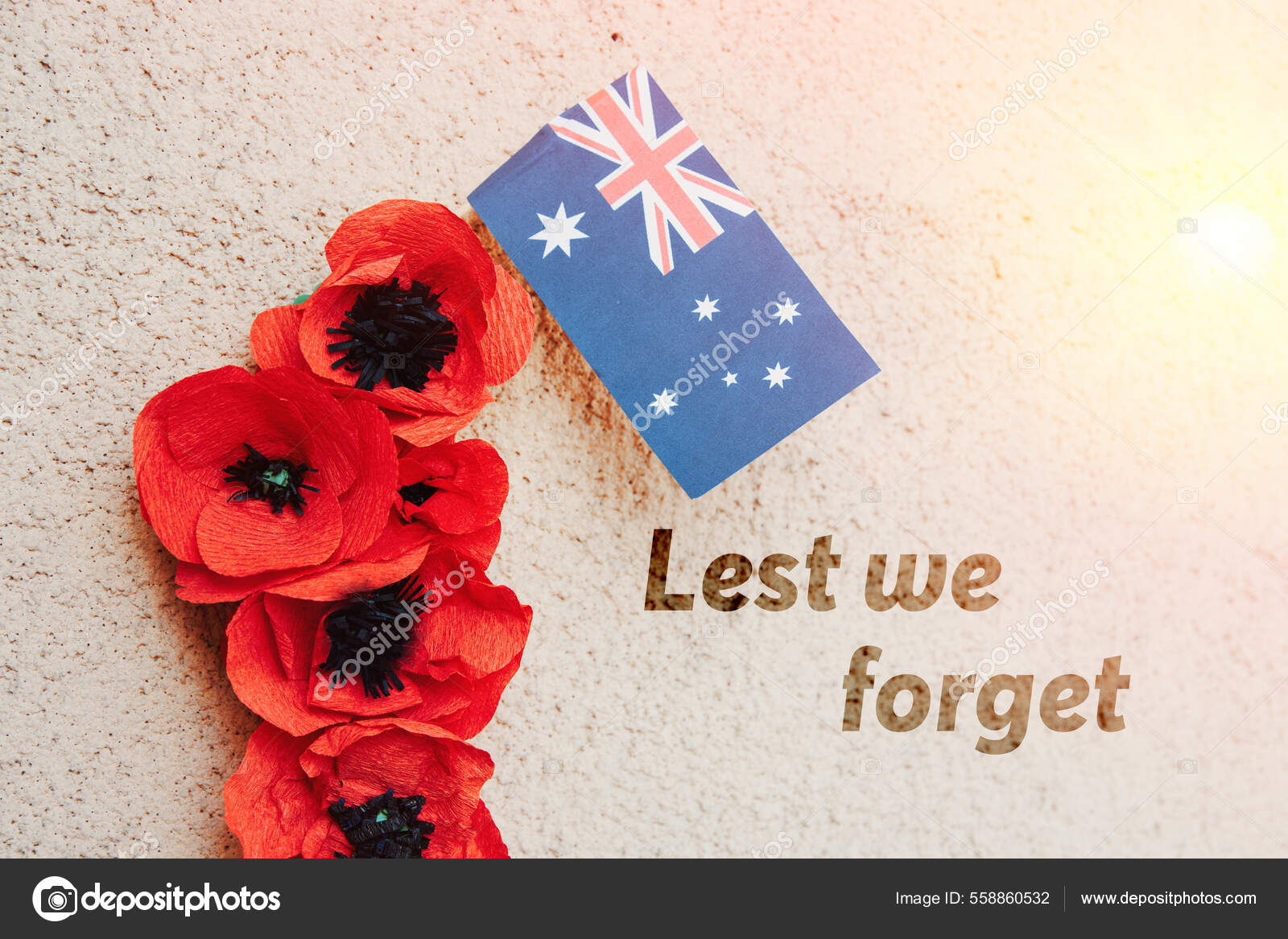 Anzac Day Australian New Zealand National Public Holiday Poppy Flowers