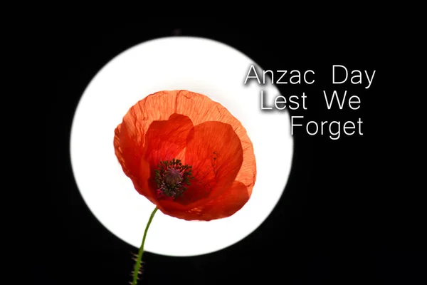 Anzac Day オーストラリアとニュージーランドの国民の祝日 ケシの花記念背景 ロイヤリティフリーのストック写真