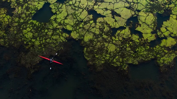Човен Сидить Зеленому Грибі Річці Зверху — стокове фото