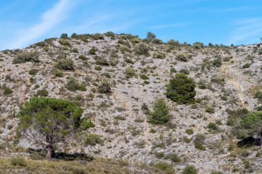 Dağın ve denizin güzel manzarası